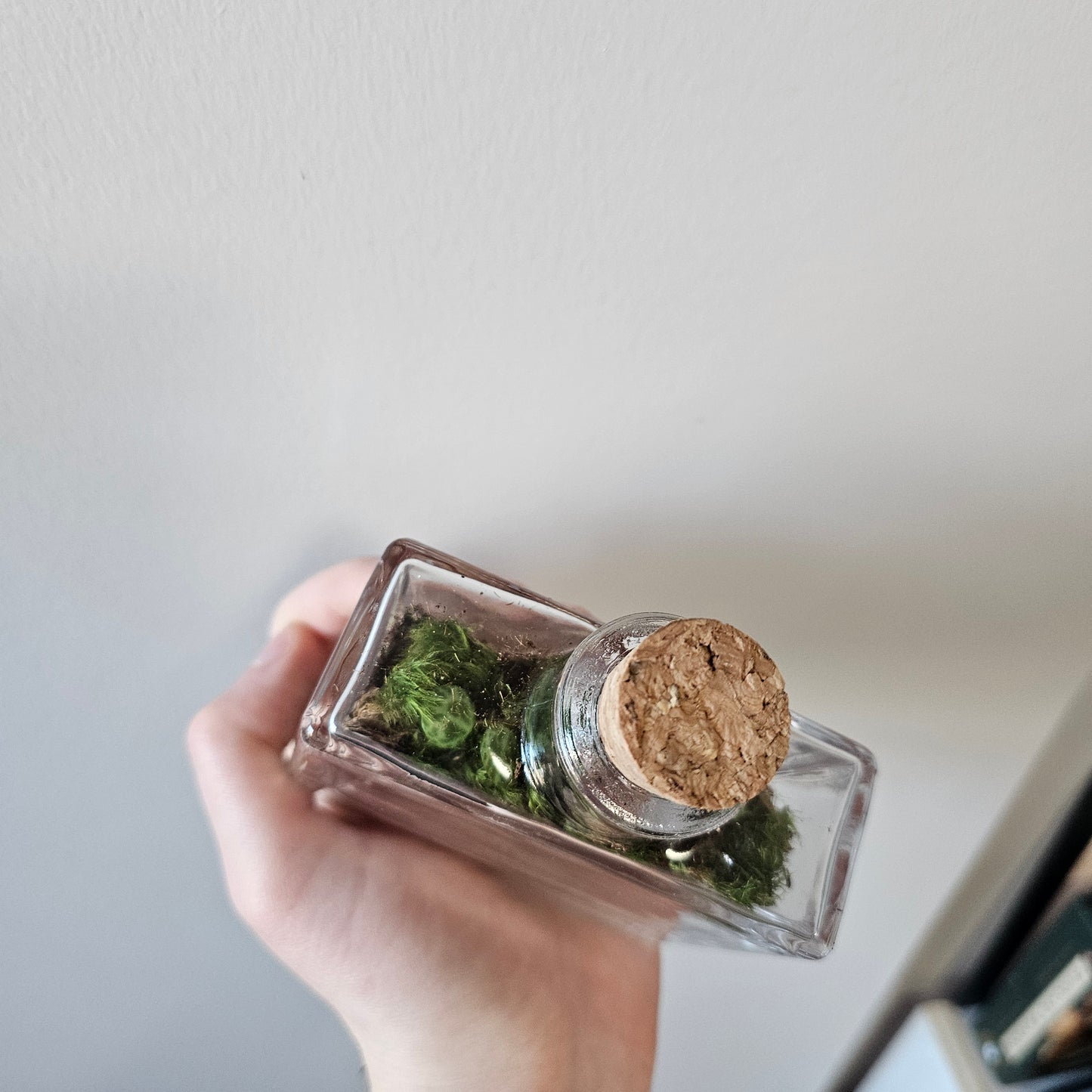 Small 'Scent of Nature' Terrarium