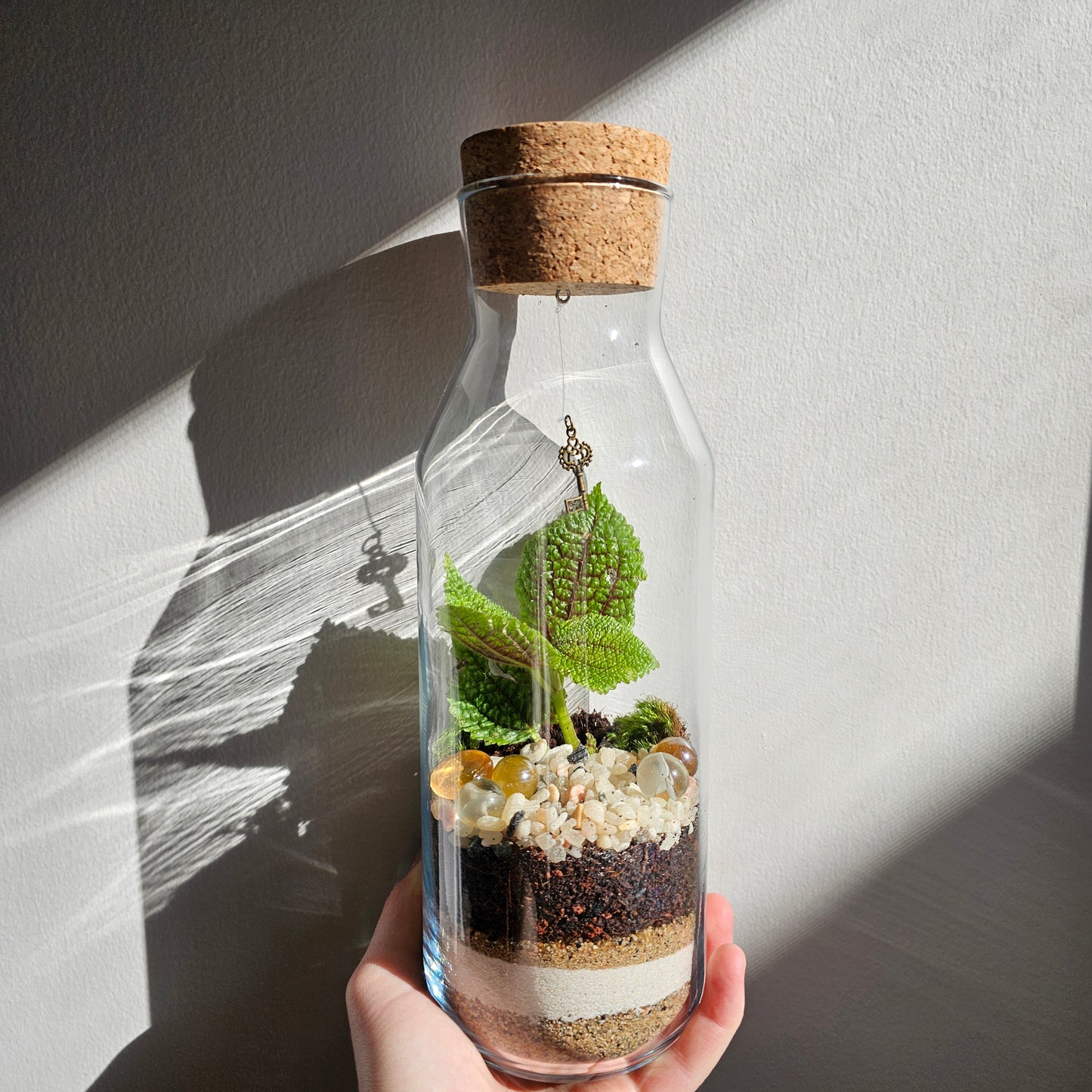 Medium Secret Garden Terrarium