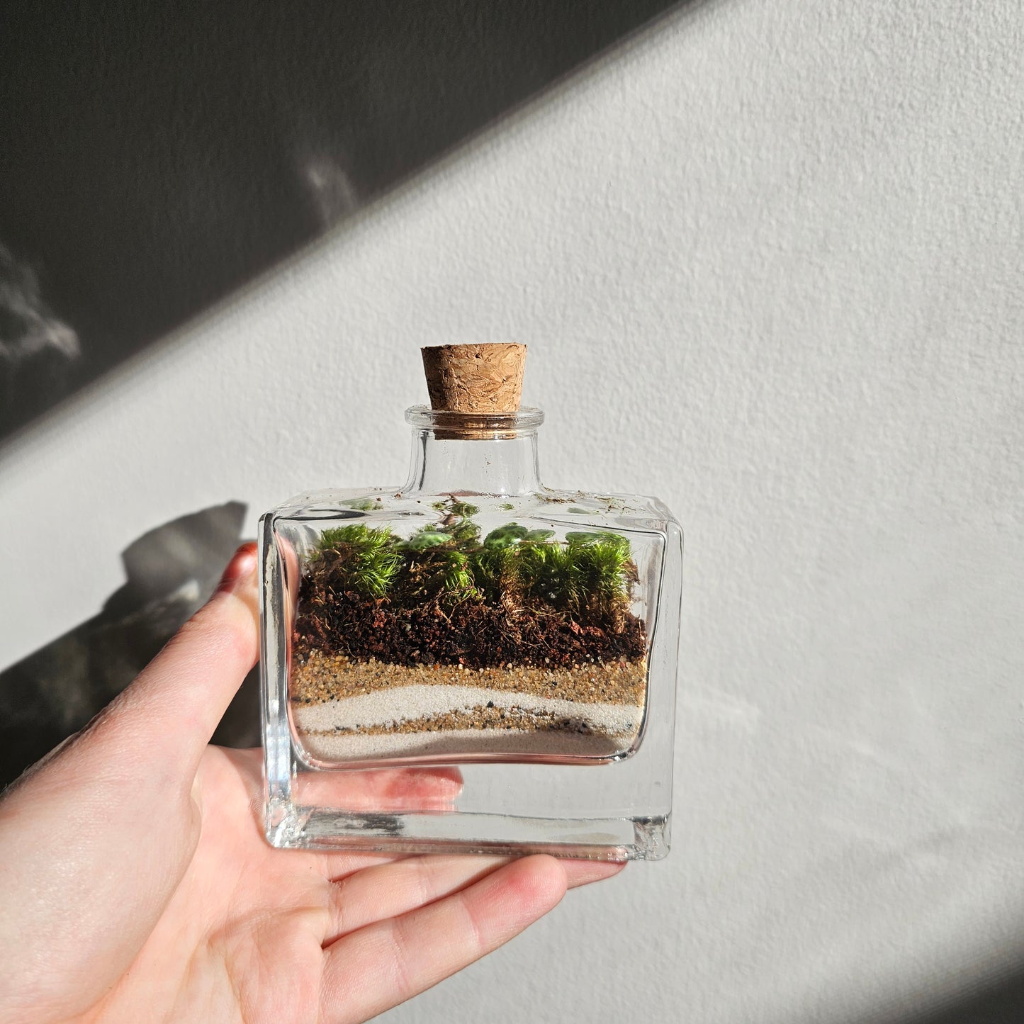 Small 'Scent of Nature' Terrarium