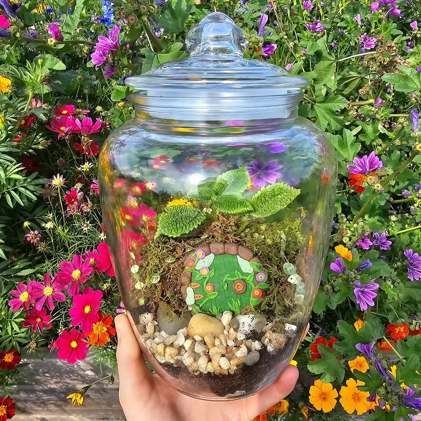 Medium Hobbit Hole Terrarium