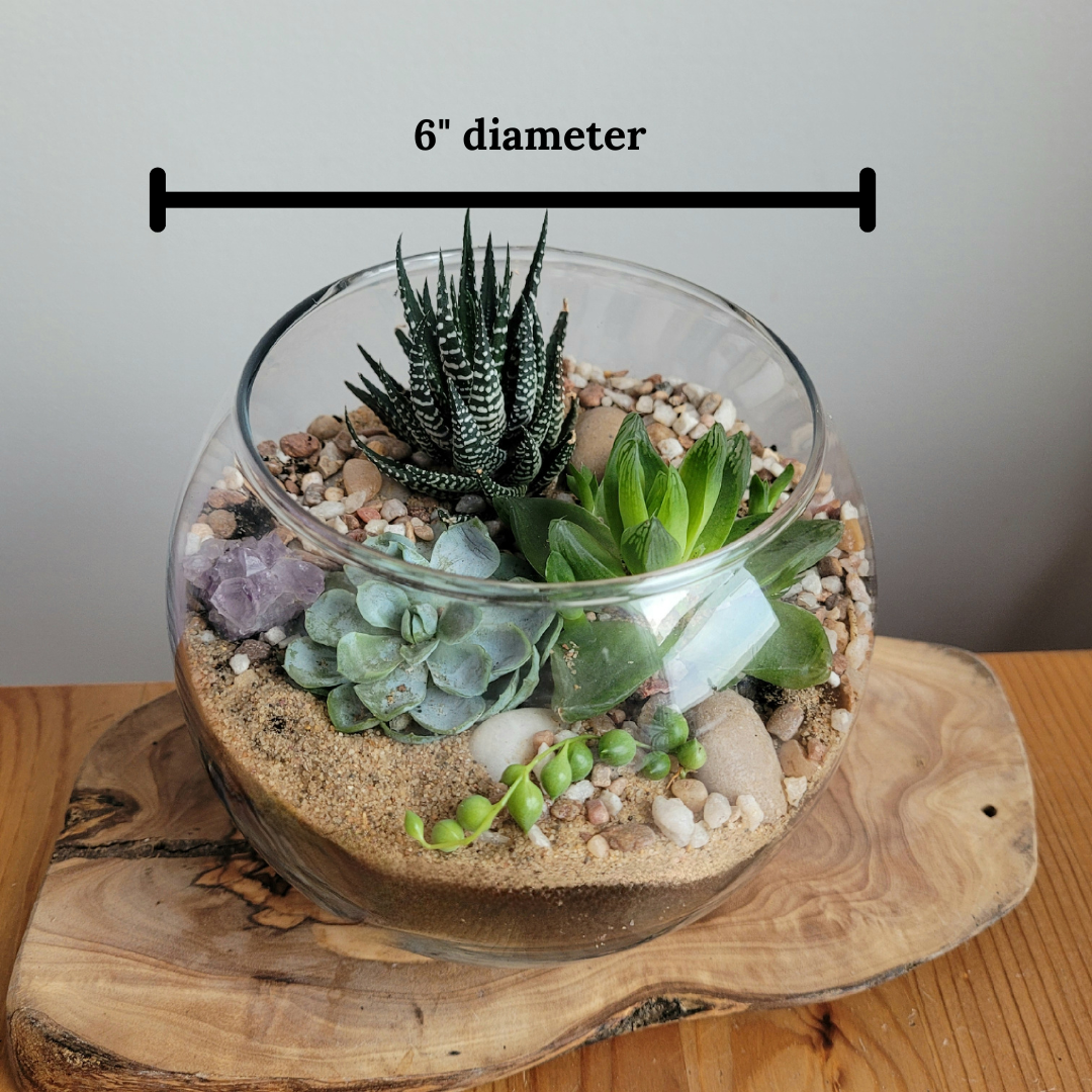 Succulent Terrarium Bowl