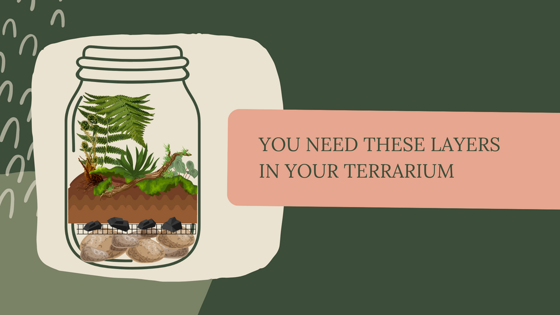 Essential layers for your closed terrarium