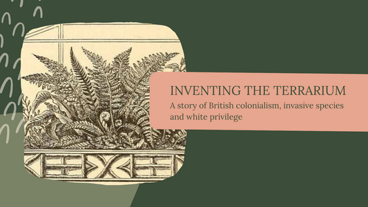 Inventing the terrarium: A story of British colonialism, invasive plant species and white privilege