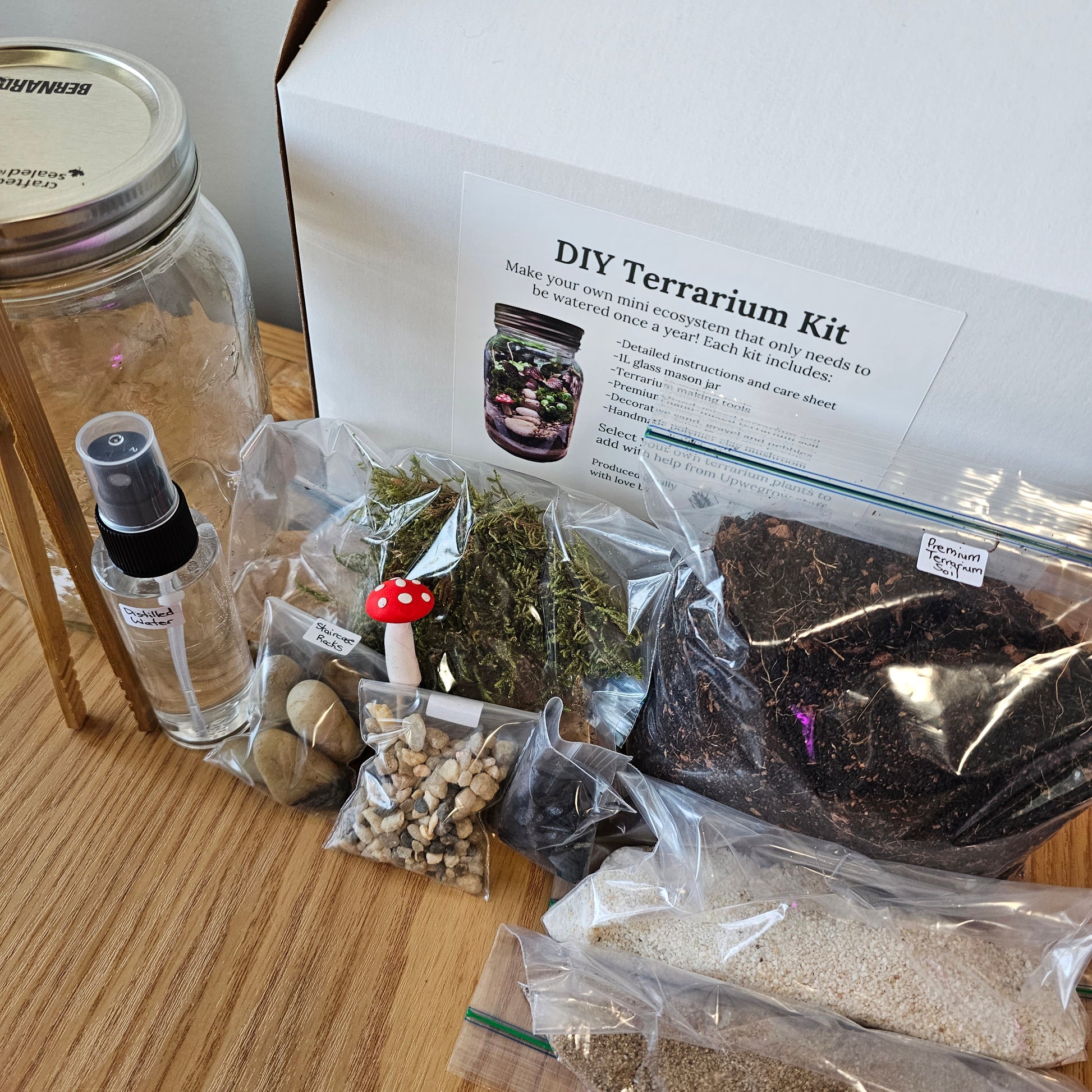 Terrarium Kit with Plants - Plant Gift - Moss Terranium - Birthday gift -  Desk Terrarium - Glass Terrarium Biodome - DIY terrarium kit