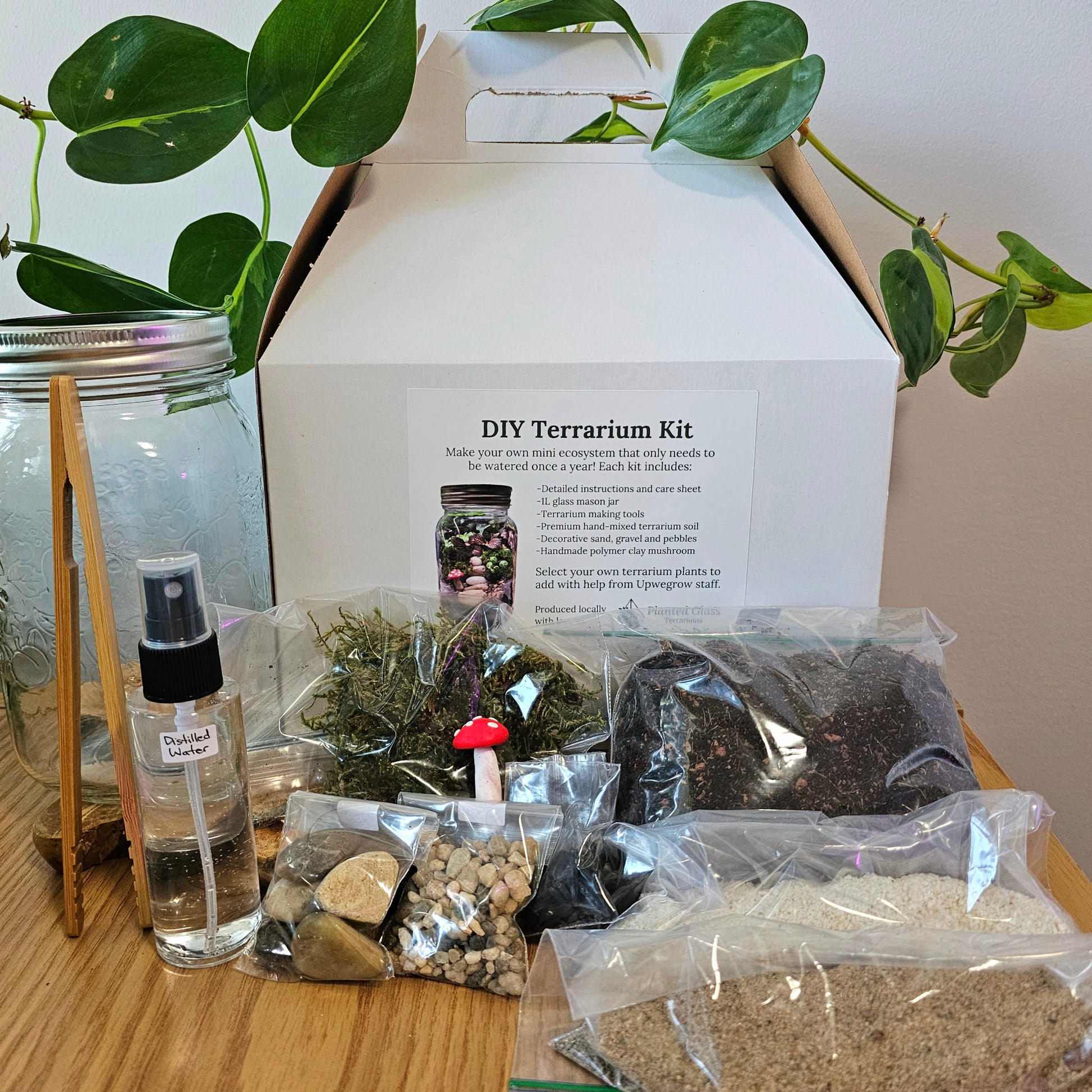 DIY Terrarium Kits: Beginner and Family-Friendly Activity – Planted Glass  Terrariums