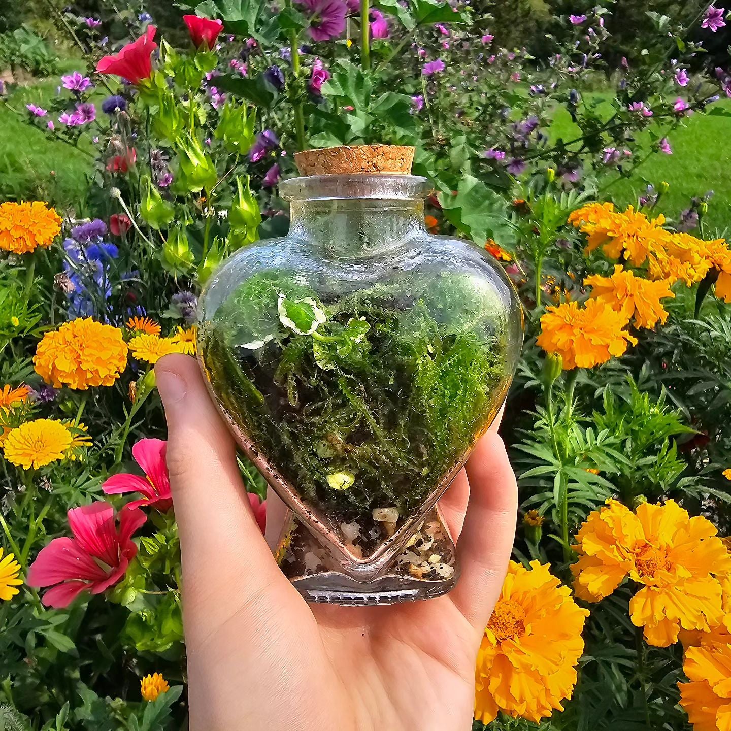 Small Heart Terrarium