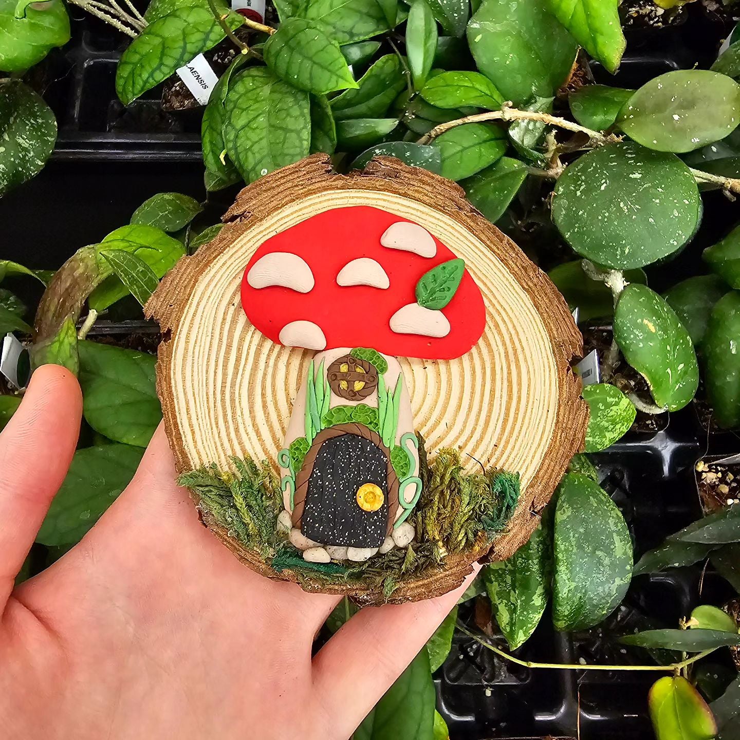 Mushroom & Magic Tree Cookies