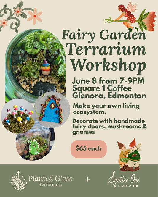 Tickets: Fairy Garden Terrarium Workshop at Square 1 Coffee