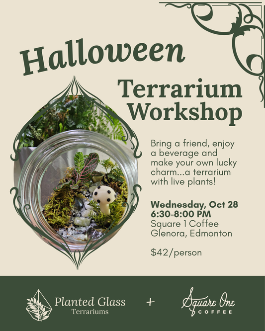 Tickets: Halloween Terrarium Workshop at Square 1 Coffee