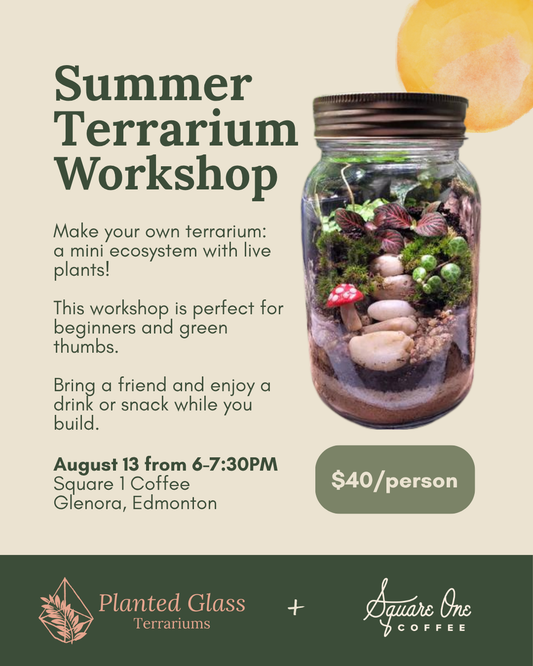Tickets: Summer Terrarium Workshop at Square 1 Coffee