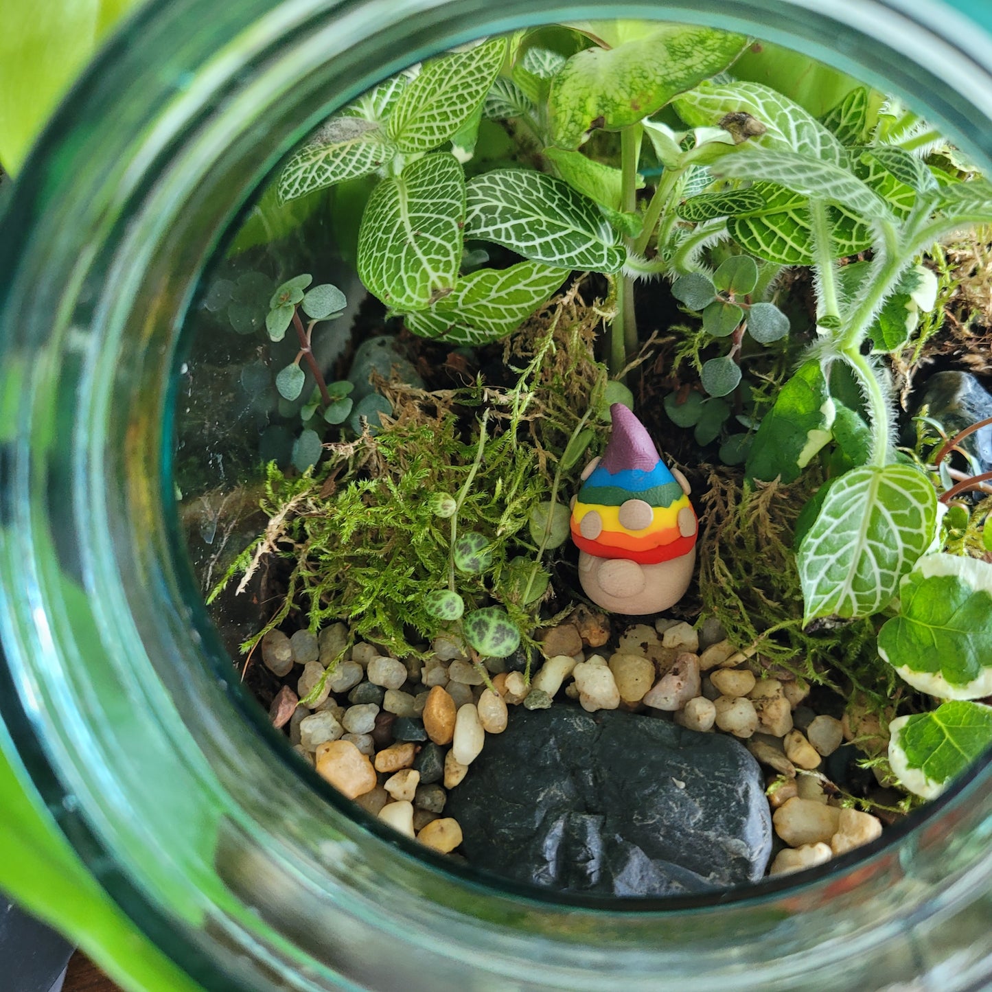 A handmade clay gnome sits in a glass terrarium filled with tropical plants. The gnome has white skin with a circular nose and a rainbow striped pointy hat with the colours of the Pride flag. It has textured white spots on its hat.