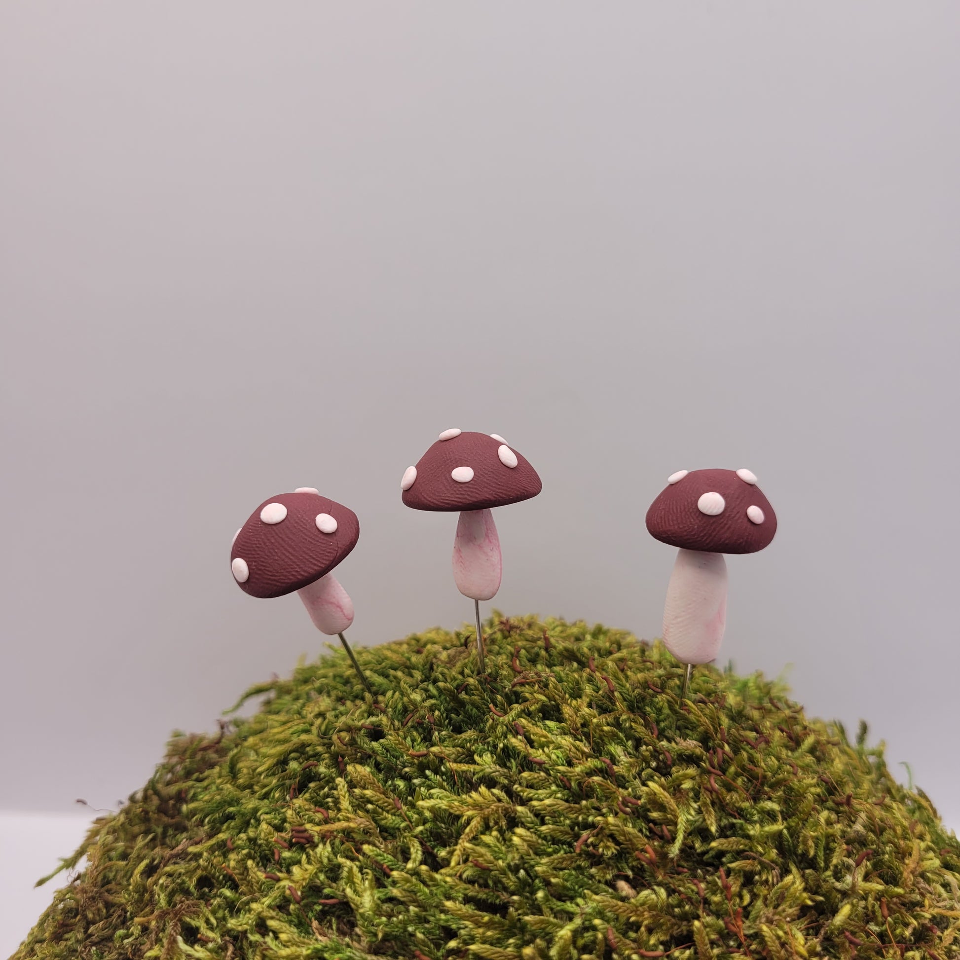 Three small purple mushrooms with textured tops stand on a preserved moss hill.