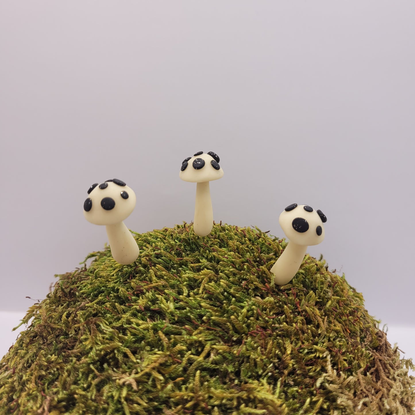 Three small glow in the dark mushrooms with textured tops stand on a preserved moss hill.