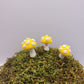 Three small yellow mushrooms with textured tops stand on a preserved moss hill.