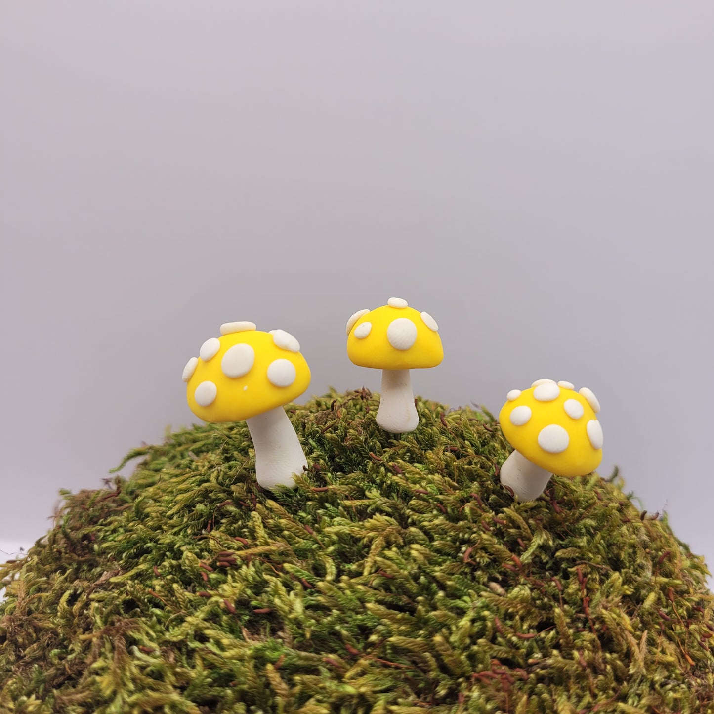 Three small yellow mushrooms with textured tops stand on a preserved moss hill.