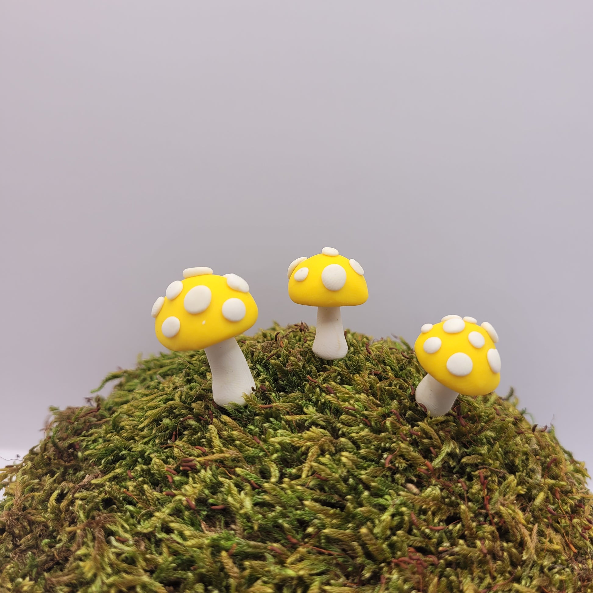 Three small yellow mushrooms with textured tops stand on a preserved moss hill.