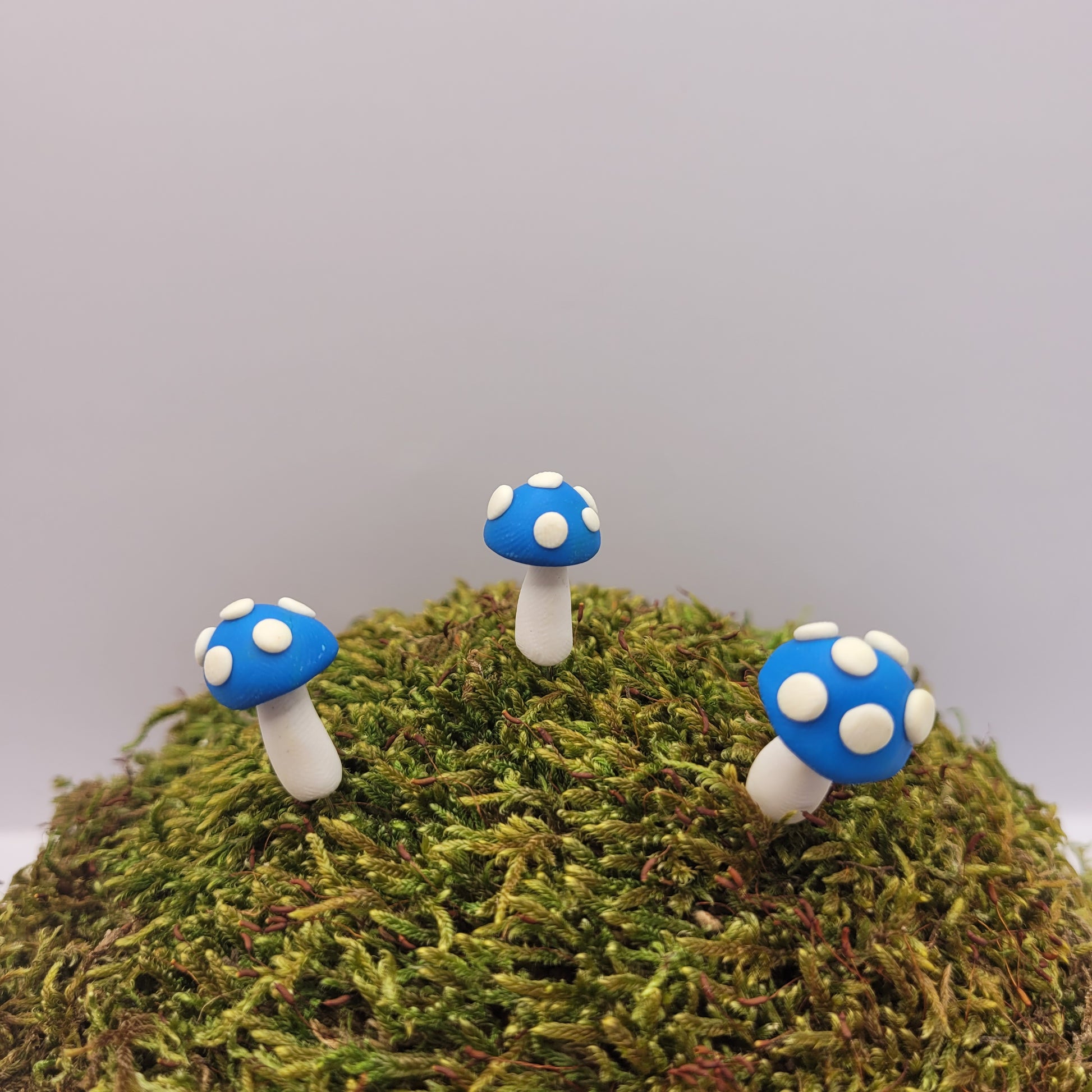 Three small blue mushrooms with textured tops stand on a preserved moss hill.