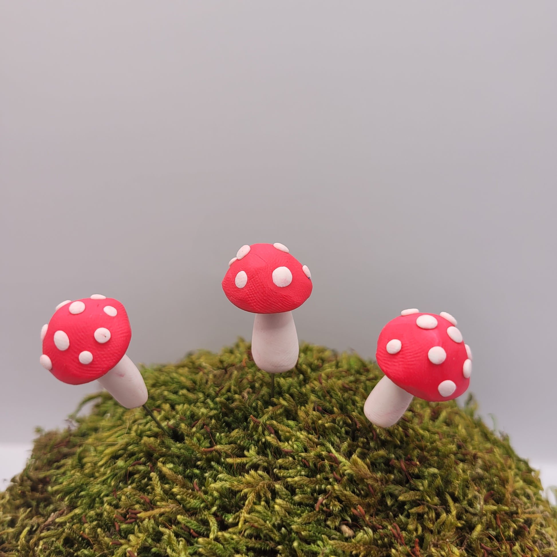 Three small pink mushrooms with textured tops stand on a preserved moss hill.