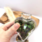 Small Heart Terrarium