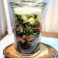 A small mossy terrarium sits on a wood platform. Inside the glass jar is colorful red and green plants and decorative rocks.