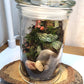 A small mossy terrarium sits on a wood platform. Inside the glass jar is colorful red and green plants and decorative rocks.