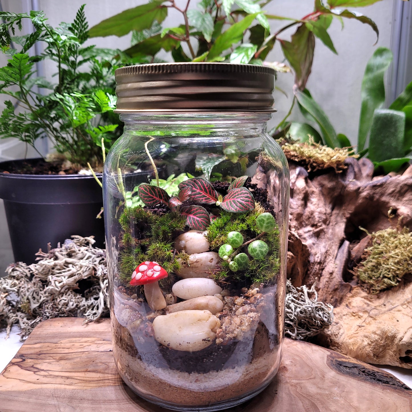 DIY Mason Jar Terrarium Kit by Planted Glass Terrariums in Edmonton